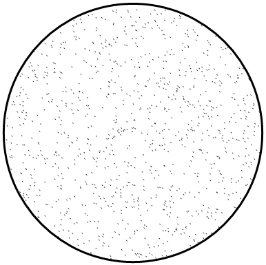 C++ Wykobi Computational Geometry Library Random Points In Circle - Copyright Arash Partow